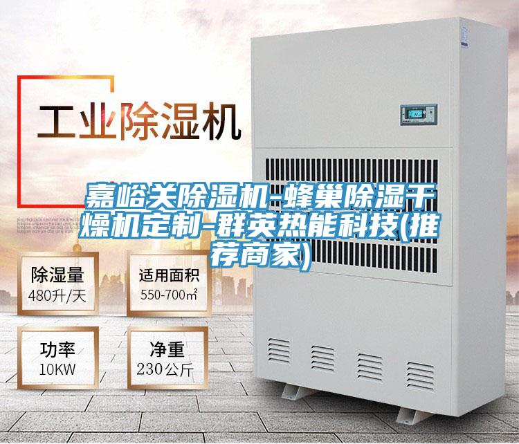 嘉峪關(guān)除濕機(jī)-蜂巢除濕干燥機(jī)定制-群英熱能科技(推薦商家)
