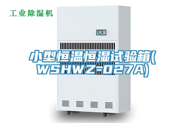小型恒溫恒濕試驗箱(WSHWZ-027A)