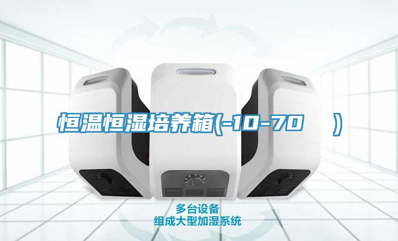 恒溫恒濕培養(yǎng)箱(-10-70 ℃）