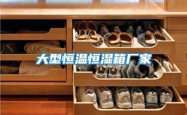 大型恒溫恒濕箱廠家