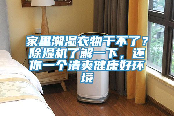 家里潮濕衣物干不了？除濕機了解一下，還你一個清爽健康好環境