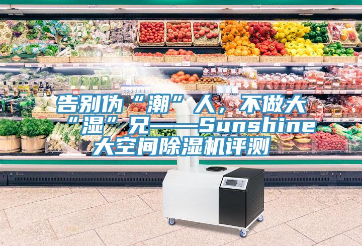 告別偽“潮”人，不做大“濕”兄——Sunshine大空間除濕機評測