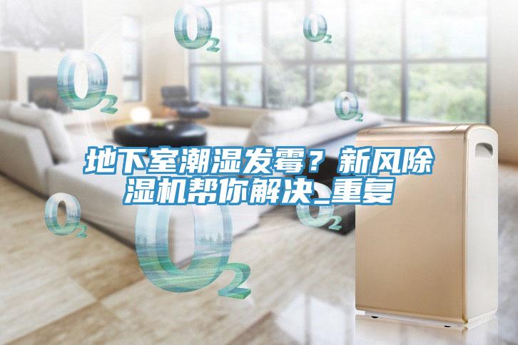 地下室潮濕發霉？新風除濕機幫你解決_重復