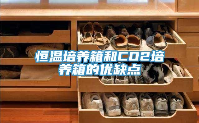 恒溫培養箱和CO2培養箱的優缺點