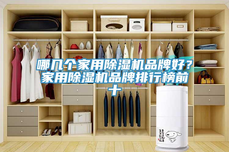哪幾個家用除濕機品牌好？家用除濕機品牌排行榜前十