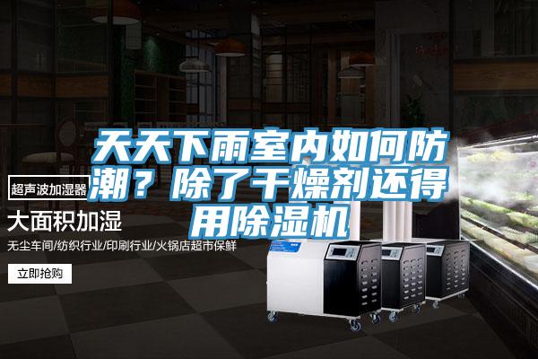 天天下雨室內(nèi)如何防潮？除了干燥劑還得用除濕機(jī)