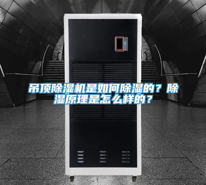 吊頂除濕機是如何除濕的？除濕原理是怎么樣的？