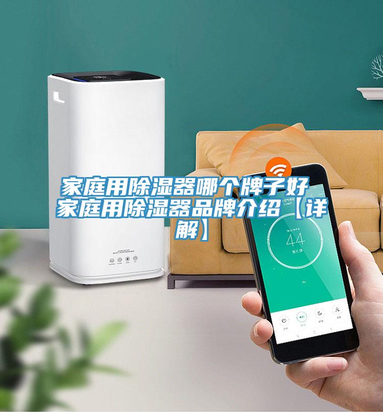家庭用除濕器哪個牌子好 家庭用除濕器品牌介紹【詳解】