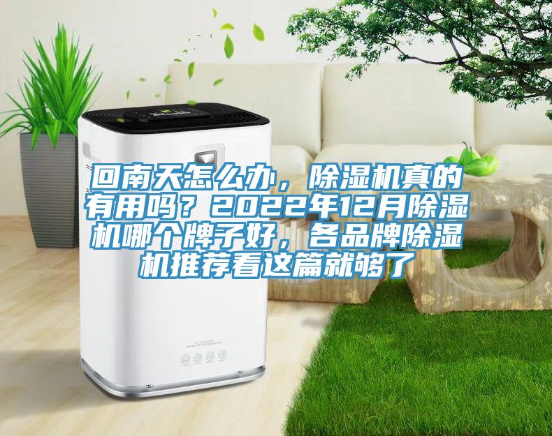 回南天怎么辦,除濕機真的有用嗎?2022年12月除濕機哪個牌子好,各品牌除濕機推薦看這篇就夠了