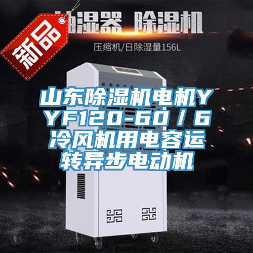 山東除濕機(jī)電機(jī)YYF120-60／6冷風(fēng)機(jī)用電容運(yùn)轉(zhuǎn)異步電動(dòng)機(jī)