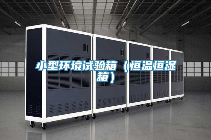 小型環(huán)境試驗(yàn)箱（恒溫恒濕箱）