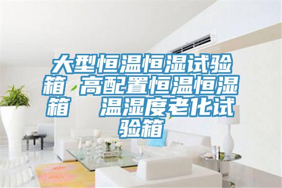 大型恒溫恒濕試驗箱 高配置恒溫恒濕箱  溫濕度老化試驗箱