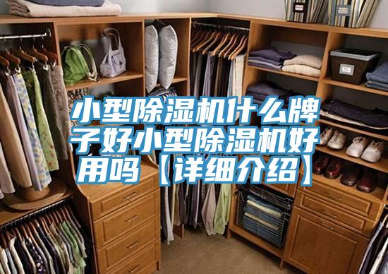 小型除濕機什么牌子好小型除濕機好用嗎【詳細(xì)介紹】