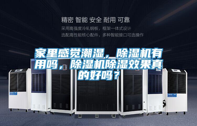 家里感覺潮濕，除濕機有用嗎，除濕機除濕效果真的好嗎？