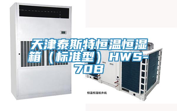 天津泰斯特恒溫恒濕箱（標準型）HWS-70B