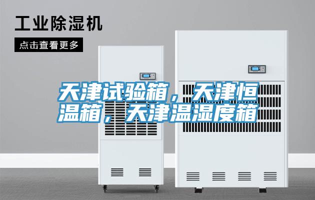 天津試驗箱，天津恒溫箱，天津溫濕度箱