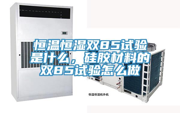 恒溫恒濕雙85試驗是什么，硅膠材料的雙85試驗怎么做