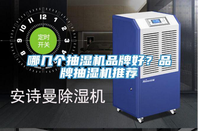 哪幾個抽濕機品牌好？品牌抽濕機推薦