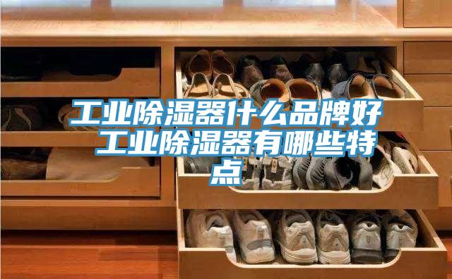 工業(yè)除濕器什么品牌好 工業(yè)除濕器有哪些特點(diǎn)