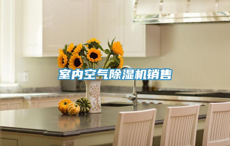 室內(nèi)空氣除濕機銷售