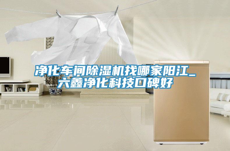凈化車間除濕機找哪家陽江_六鑫凈化科技口碑好