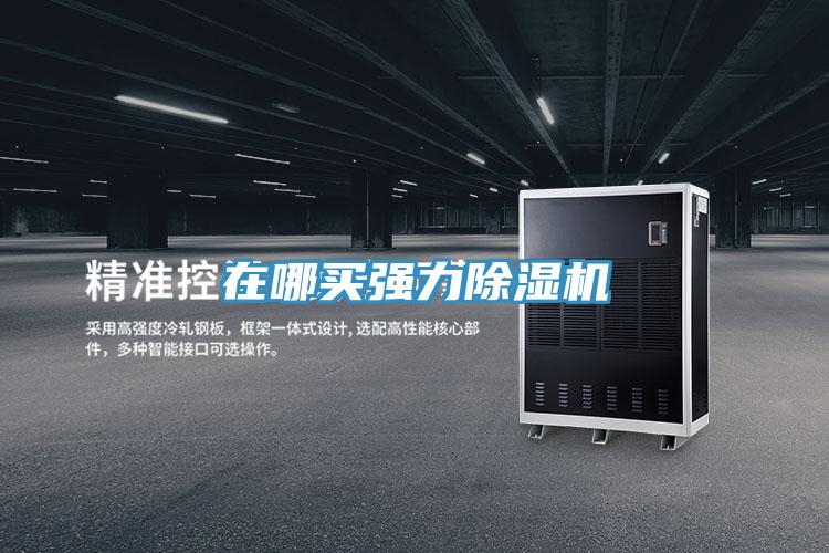 在哪買強力除濕機