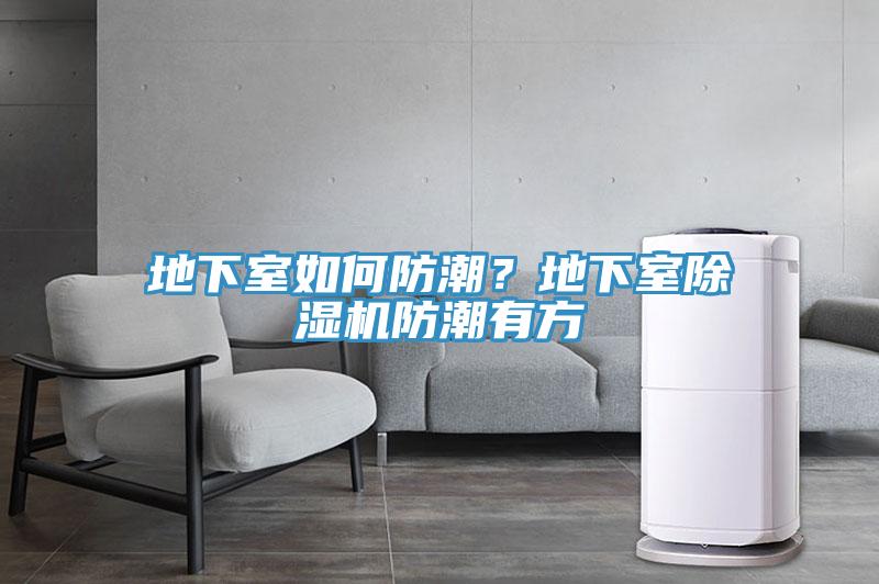 地下室如何防潮？地下室除濕機防潮有方