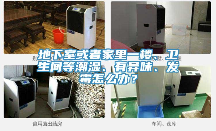 地下室或者家里一樓、衛生間等潮濕、有異味、發霉怎么辦?