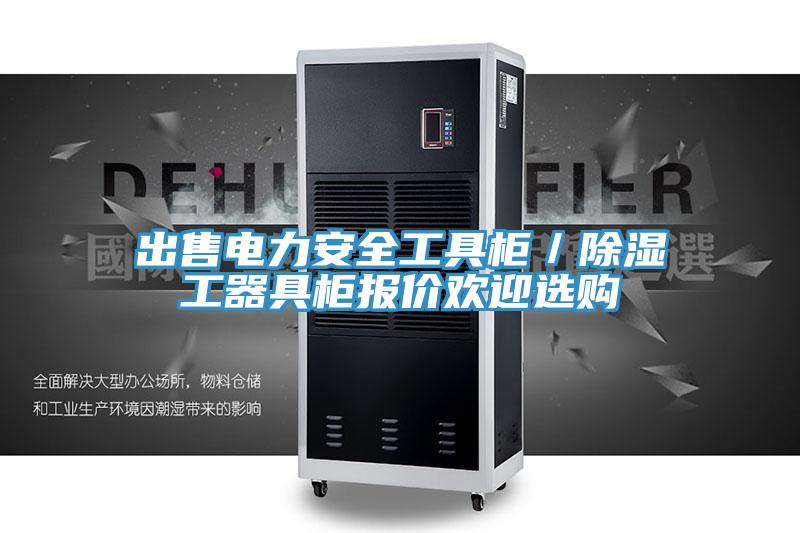 出售電力安全工具柜／除濕工器具柜報價歡迎選購