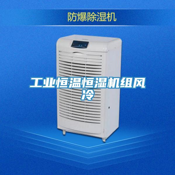 工業恒溫恒濕機組風冷