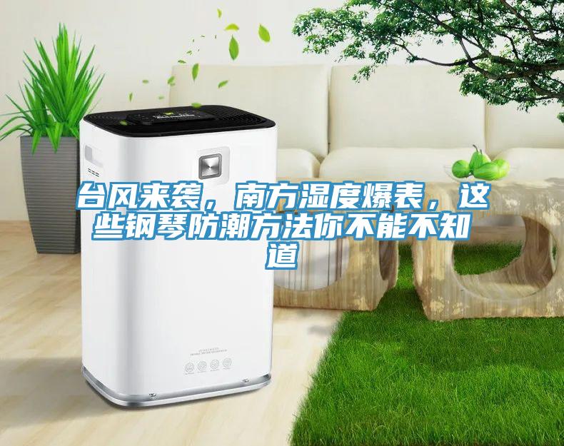 臺風來襲,南方濕度爆表,這些鋼琴防潮方法你不能不知道