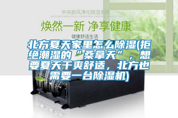 北方夏天家里怎么除濕(拒絕潮濕的“桑拿天”,想要夏天干爽舒適,北方也需要一臺除濕機(jī))
