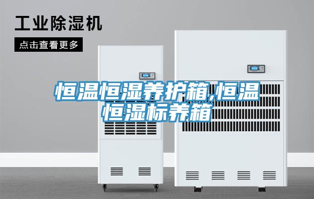 恒溫恒濕養護箱,恒溫恒濕標養箱