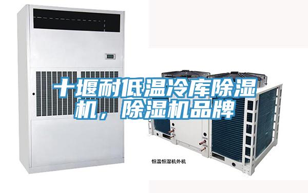 十堰耐低溫冷庫除濕機，除濕機品牌