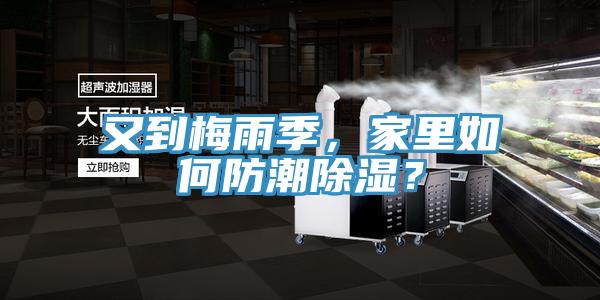 又到梅雨季，家里如何防潮除濕？