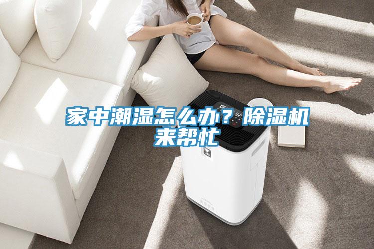 家中潮濕怎么辦？除濕機(jī)來幫忙