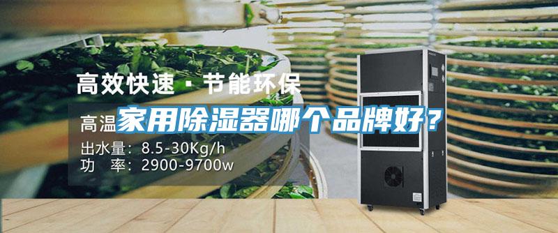 家用除濕器哪個品牌好？
