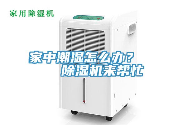 家中潮濕怎么辦？    除濕機(jī)來幫忙