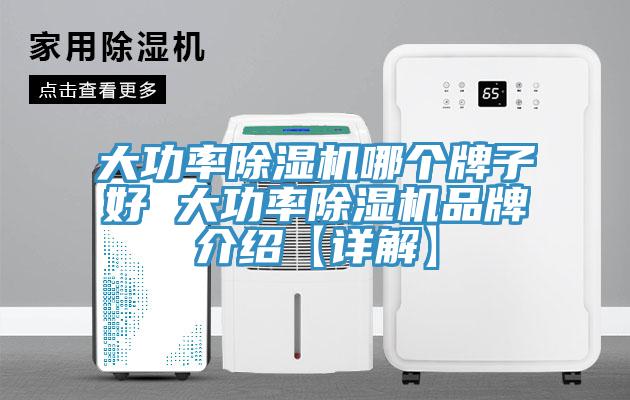 大功率除濕機哪個牌子好 大功率除濕機品牌介紹【詳解】