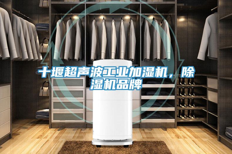 十堰超聲波工業(yè)加濕機(jī),除濕機(jī)品牌