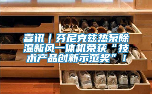 喜訊|芬尼克茲熱泵除濕新風一體機榮獲“技術產品創新示范獎”!