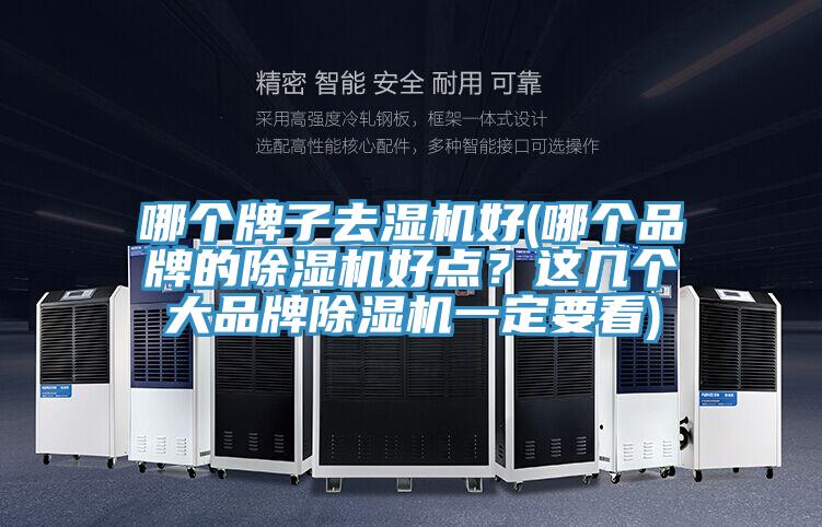 哪個(gè)牌子去濕機(jī)好(哪個(gè)品牌的除濕機(jī)好點(diǎn)？這幾個(gè)大品牌除濕機(jī)一定要看)