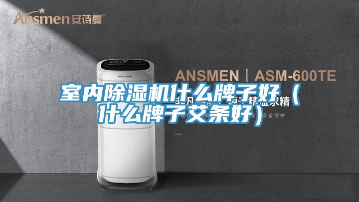 室內(nèi)除濕機什么牌子好（什么牌子艾條好）