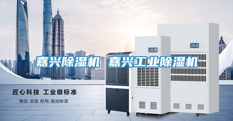 嘉興除濕機 嘉興工業除濕機