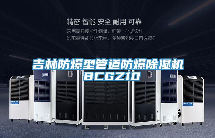 吉林防爆型管道防爆除濕機(jī) BCGZ10