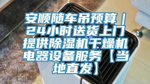 安順隨車吊預算|24小時送貨上門提供除濕機干燥機電器設備服務【當地直發】