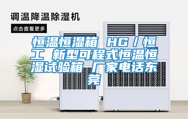 恒溫恒濕箱 HG／恒工 新型可程式恒溫恒濕試驗箱 廠家電話東莞