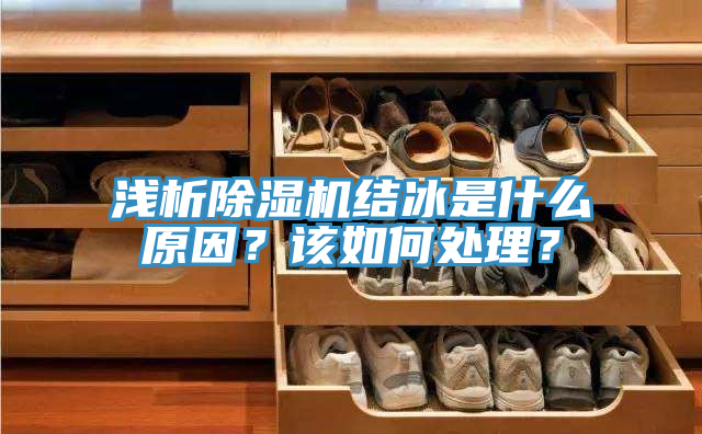 淺析除濕機結冰是什么原因？該如何處理？