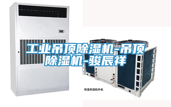 工業(yè)吊頂除濕機-吊頂除濕機-駿辰祥