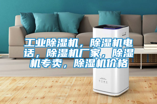 工業除濕機，除濕機電話，除濕機廠家，除濕機專賣，除濕機價格